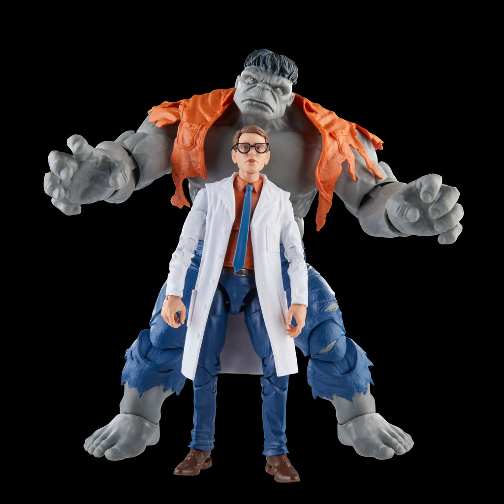 Hasbro Marvel Legends Series Gray Hulk and Dr. Bruce Banner